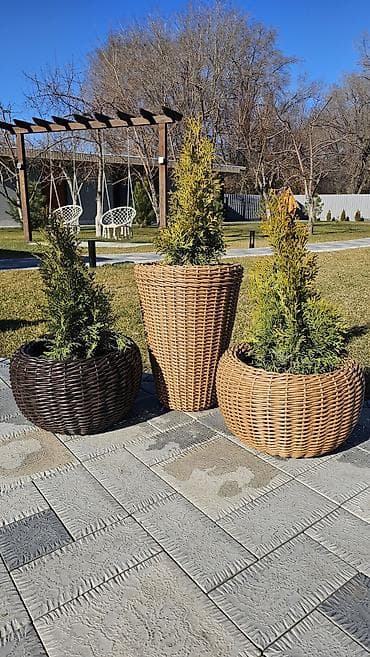 Комнатные розы: Кашпо из ротанга для вашего сада. - Материал: искусственный ротанг на — 8