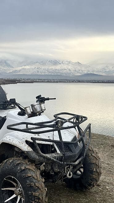 машинка б у: Продаю Квадроцикл 300кубов Водиное охлаждение 4 ступка Сост хорошее — 8