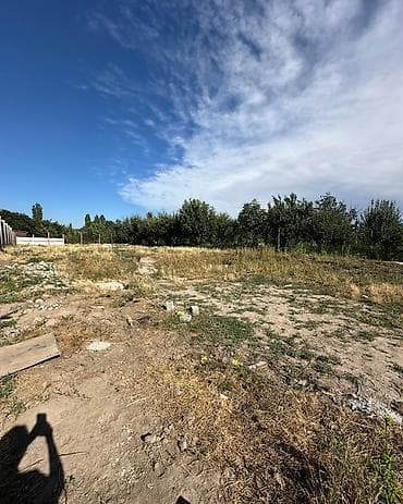 6 соток, Курулуш, Кызыл китеп, Сатып алуу-сатуу келишими — 3