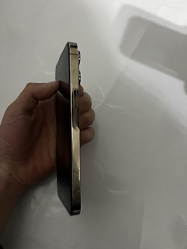 зарядка гармин: IPhone 14 Pro Max — 3