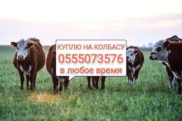 ферма: Приём в колбасный цех