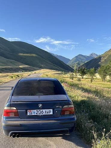 BMW 5 series: 2001 г., 2.5 л, Автомат, Бензин, Седан — 8