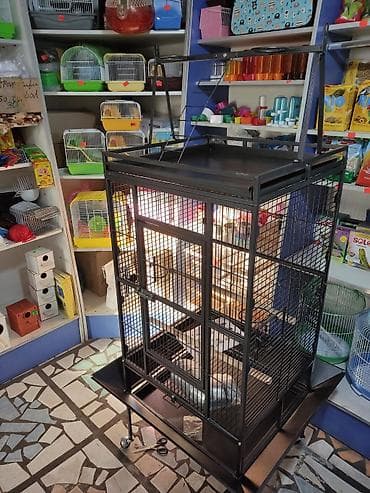 Үй жаныбарлары: Клетки для крупных, средних и мелких попугаев! — 2