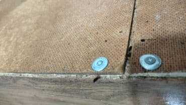 проекты домов: Дезинфекциялоо, дезинсекциялоо, | Канталалар, Бүргөлөр, Таракандар, | Транспорт, Офистер, Батирлер — 27