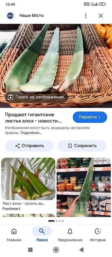 Красота и здоровье: Листья алоэ вера, увлажняющий эффект, натуральный продукт. Берём — 3