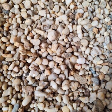 Собаки: Аквариумные пески. Грунты для аквариума. Большой выбор. Качественные — 5