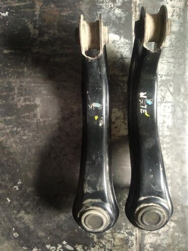 разговаривающий попугай купить: Хонда элизион плавающий речаг — 2