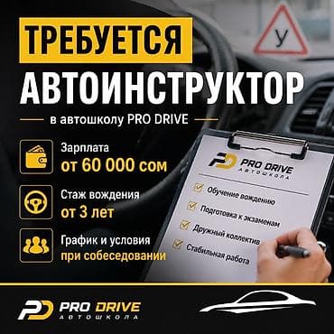 Развлечения, спорт: Тренер — 1
