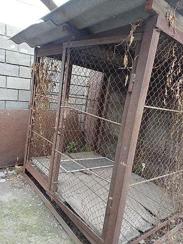 услуга инкубатор: Продаю вольер/клетка для собак — 1