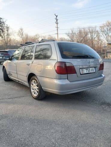 возьму собаку в добрые руки: Продаю | Бык (самец) — 4