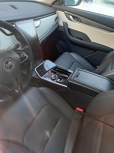 сденья: Weltmeister EX5, 2021 г., 65000 км, Передний, В наличии — 8