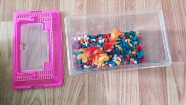 Грызуны: Продаю аквариум, с растением, кормом и с камнями, объем 1 литр, торг — 4