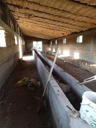 usman stroy: Сокмо дубалдан пакса жана кам кирпичтен уй жана малга — 2