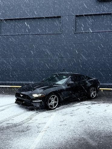 статор: Ford Mustang: 2021 г., 2.3 л, Автомат, Бензин, Купе — 1