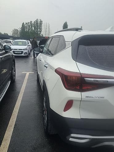 подушка мерс: Kia Seltos: 2020 г., Автомат, Бензин, Кроссовер — 6
