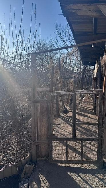 Гаражи: 12 соток, Для сельского хозяйства, Тех паспорт — 4