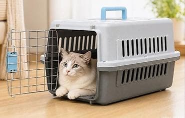 d cat: Переноска для кошек и мелких собак - Жесткий пластиковый бокс с — 2