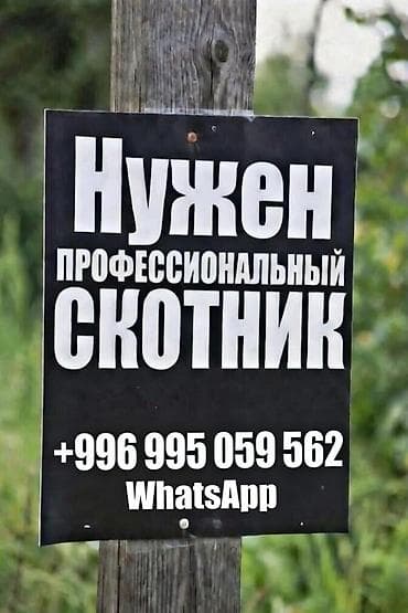 работа на швея: Требуется Скотник, Оплата: Ежемесячно, Питание — 1