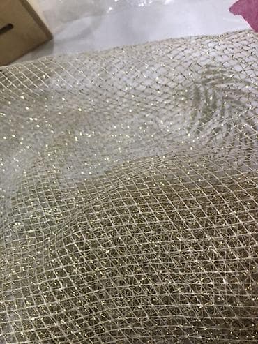 котята сиамские: Шотландская вислоухая кошка (Scottish Fold) - Окрас: серебристый — 7