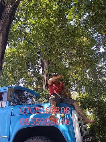 Очистка славных ям туалетов продувка канализационных систем at lalafo.kg Очистка славных ям туалетов продувка канализационных систем