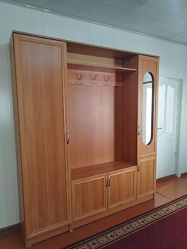 вешалки для магазинов одежды: Шкаф-прихожая, С зеркалом, ЛДСП — 3
