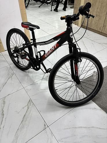 Книги и журналы: Подростковый велосипед — 1