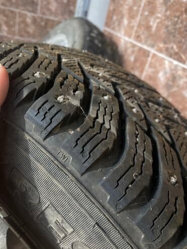 диск ниссан примера: Дөңгөлөктөр монтажда 195 / 65 / R 15, Кыш, Колдонулган, Комплект, тешиктери - 5 — 3