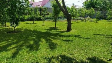 обрезка живой изгороди: Услуги Садовника! Стрижка газона со своей — 4