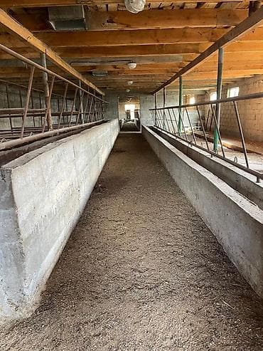 участо: Продается дом с двором и участком. - Просторный крытый навес во — 8