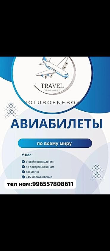ловушка комаров: Авиабилеты по всем направлениям Онлайн-агентство путешествий — 2