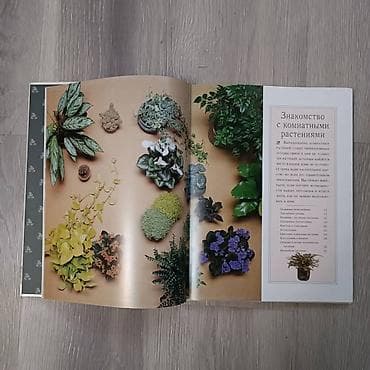 джон дери: Книга по уходу за комнатными растениями — 3