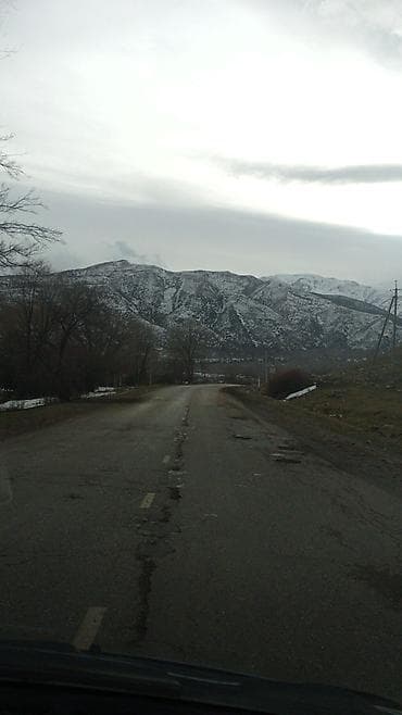 асфалть: Уборка территории уход за огородом за дачей, уборка 🌿трав, Мойка — 4