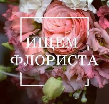 ишу работы: Требуется флорист (девушка) Возраст от 18+ График работы с 9 до 21:00 — 1