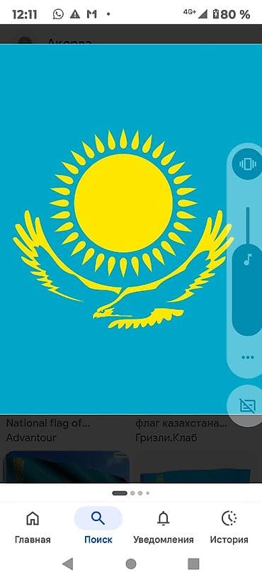 бур земля: Аренда буровой установки на гусеничном ходу - Профессиональная — 1