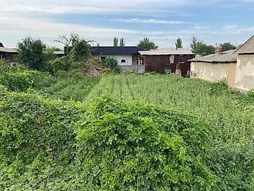 парковка резка: 4 соток, Для бизнеса, Красная книга — 4