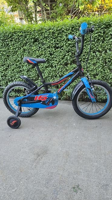 шины на гигант 16с: Детский велосипед, 2-колесный, 4 - 6 лет, Для мальчика — 5