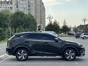 n max: Lexus NX: 2019 г., 2.5 л, Гибрид, Кроссовер — 6