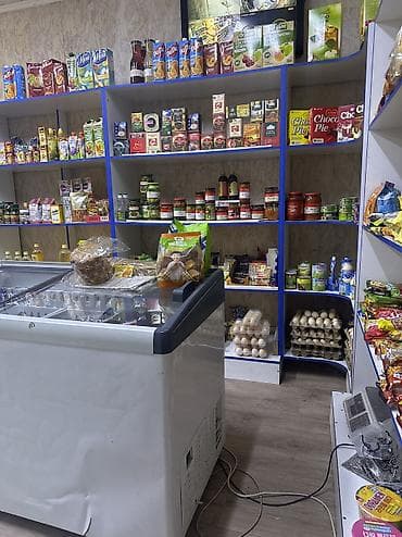 Кыймылсыз мүлк: Мини-маркет/киоск продуктов и напитков . Ассортимент: - Холодные — 2