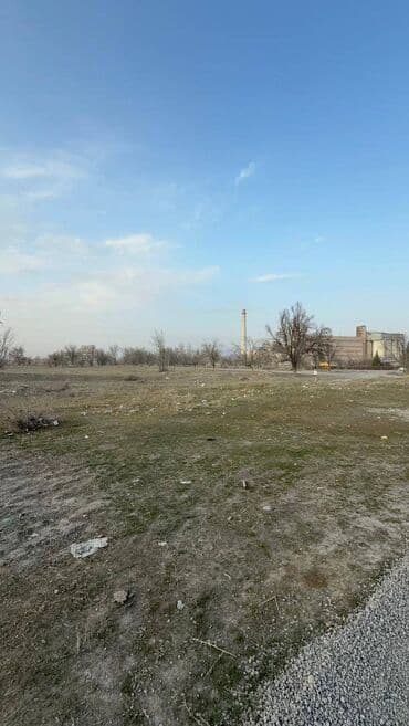 дом на колесах трейлер: 2 соток — 1