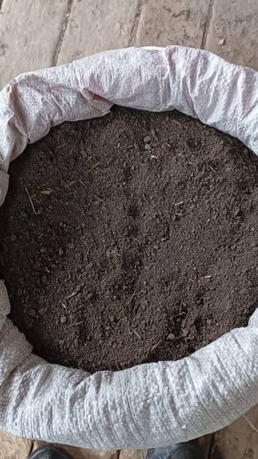 куда продать биогумус: Удобрение — 2