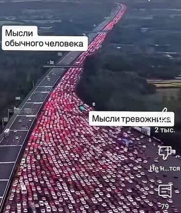 С/х животные и товары: Норс — 1