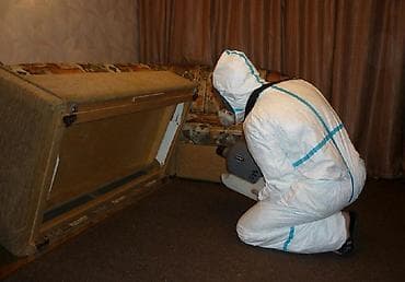 Другие услуги: Дезинфекция, дезинсекция, | Клопы, Блохи, Тараканы, | Транспорт, Офисы, Квартиры — 2