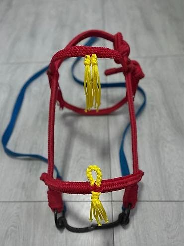 аренда лошадей: Продаю | Жеребец | Конный спорт — 6