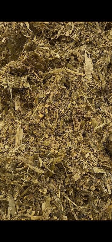 уй сатылат бишкек 2022: Кукурузный силос в индивидуальных рулонах Адрес Город Кемин село Жол — 8