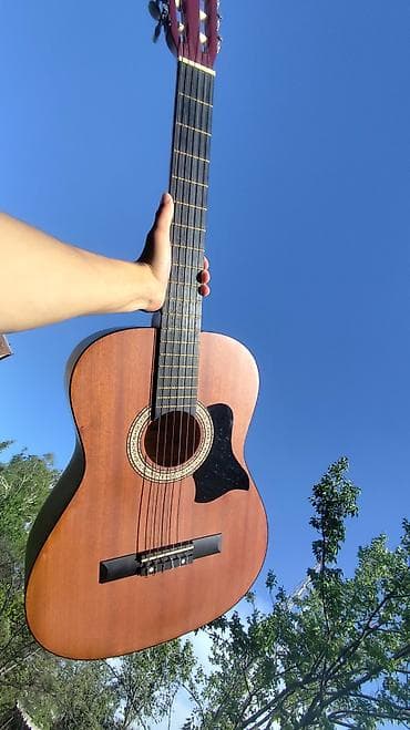 Акустическая гитара Diduo, формат 4/4 (полноразмерная). - Тип