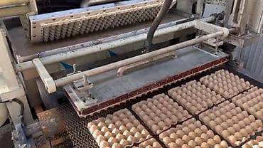 Корзины: Ящик, Новый — 2