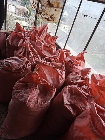 прихожая мебель бишкек: Помет голубей 500 сом за 1 мешок — 2