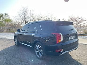 4wd: Hyundai Palisade: 2019 г., 2.2 л, Автомат, Дизель, Кроссовер — 5