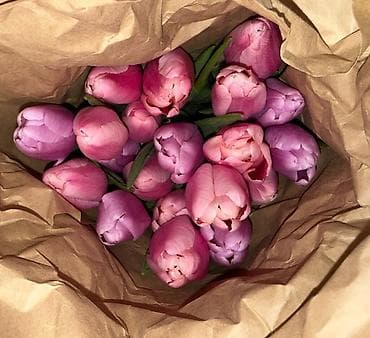 цветы ромашка: Пышный букет тюльпанов с махровыми лепестками. Оттенок — нежно‑розовый — 10