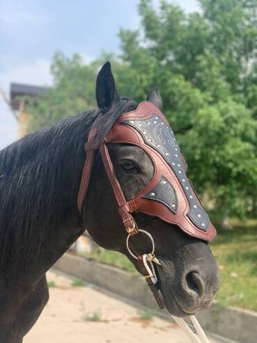 продаю кочкор: Новинка Ахиллес жугону 🔥🔥🔥 — 1